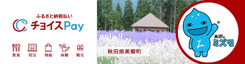 ふるさと納税払いチョイスPay 秋田県美郷町 バナー