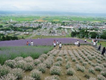 なかふらのラベンダーまつり