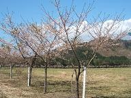 吐出（はきだし）地区