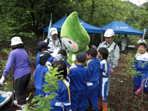 植樹のようす