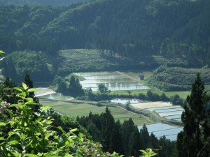 七滝山より七滝地区の水田を望む