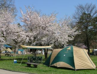 テント（タープ）サイト